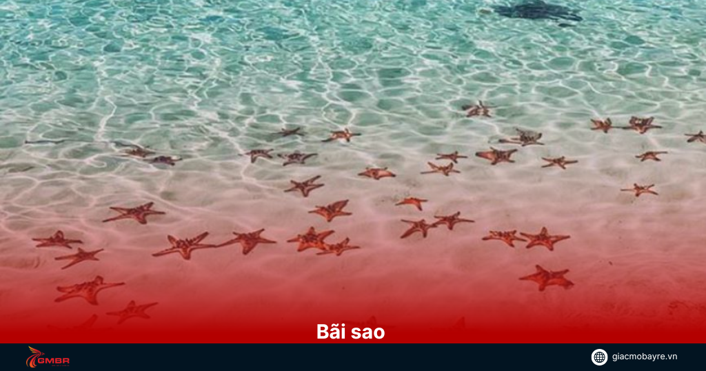Bãi sao ở Phú Quốc