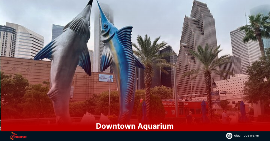 dia-diem-Downtown-Aquarium