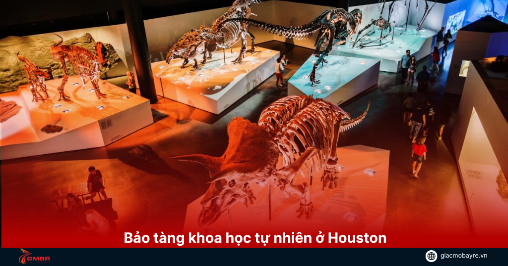 dia-diem-o-Houston-Museum-of-Natural-Science