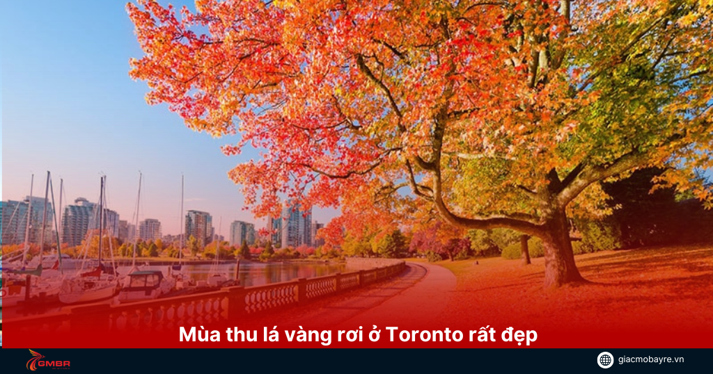 mua-thu-toronto