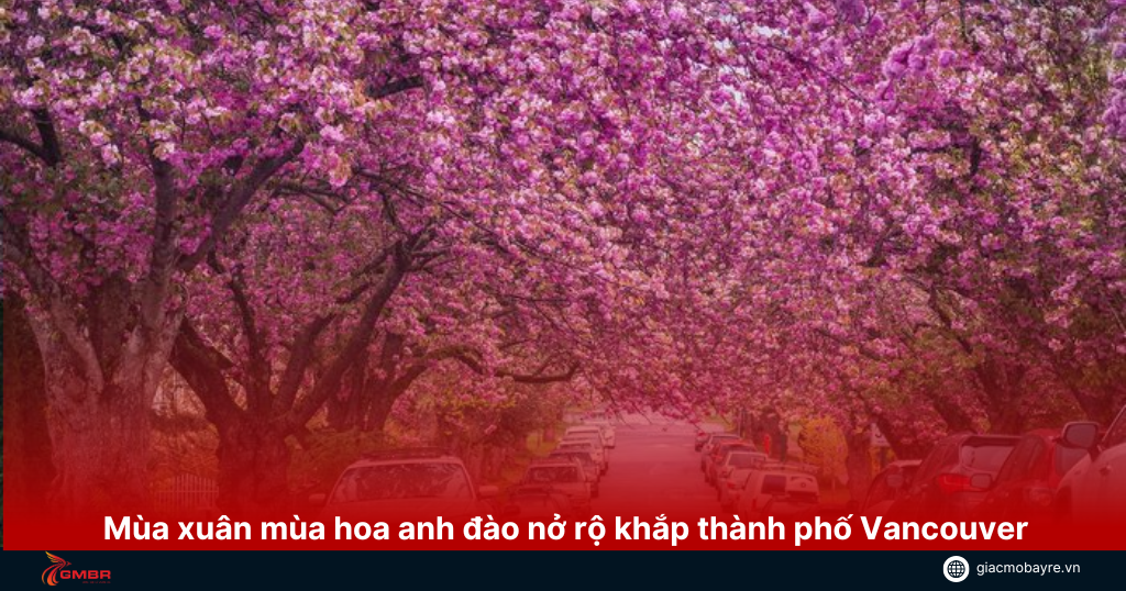 mùa xuân ở vancouver