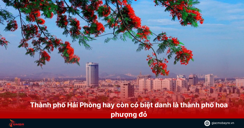 Thành phố Hải Phòng hay còn đươc biết là thành phố hoa phượng đỏ