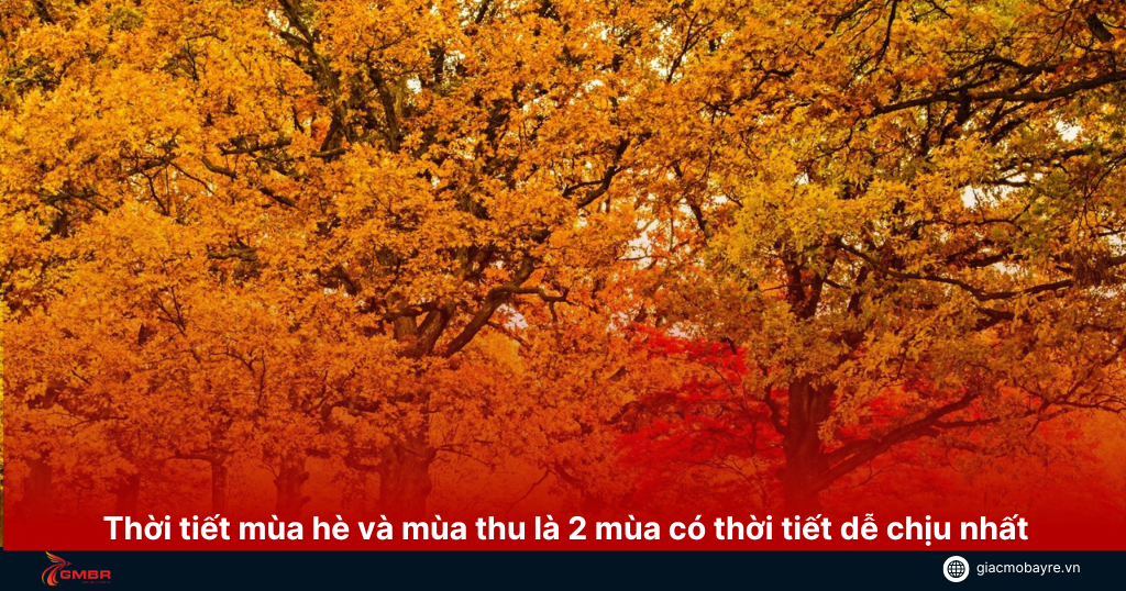 thoi-tiet-mua-he-mua-thu-o-chicago
