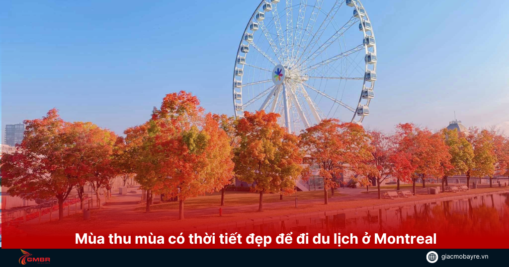 Mùa thu là mùa có thời tiết đẹp nhất để đi du lịch Montreal