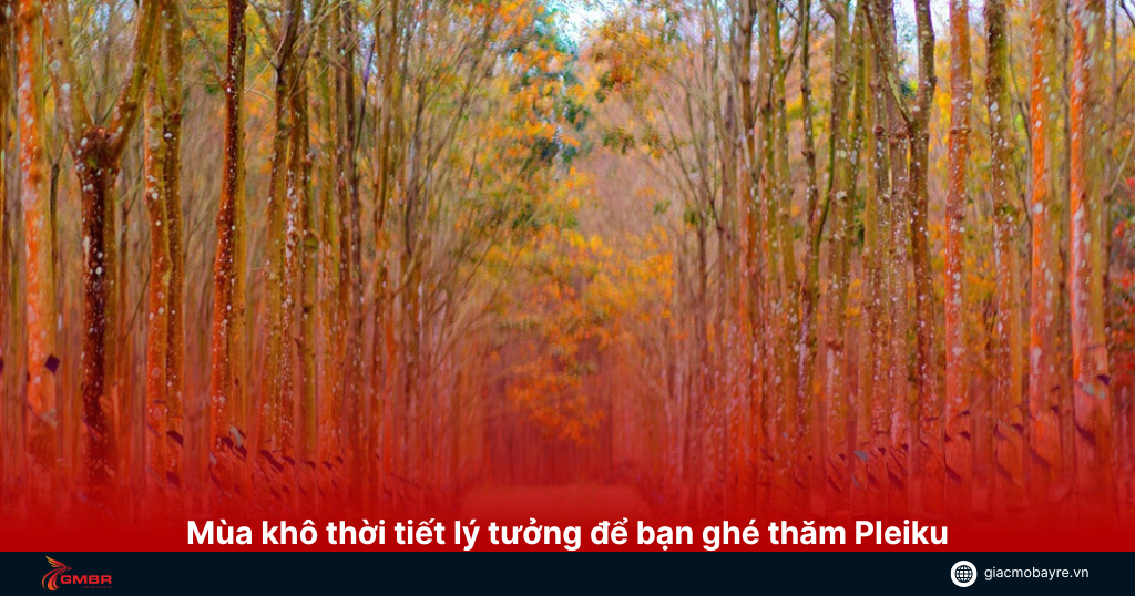 Mùa khô thơi tiết đẹp để ghé thăm Pleiku