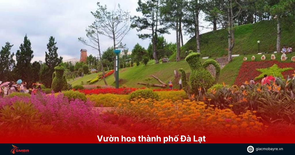 Vườn hoa thành phố Đà Lạt