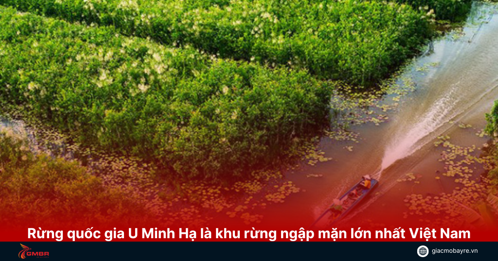 Rừng quốc gia U Minh Hạ là khu rừng ngập mặn lớn nhất Việt Nam