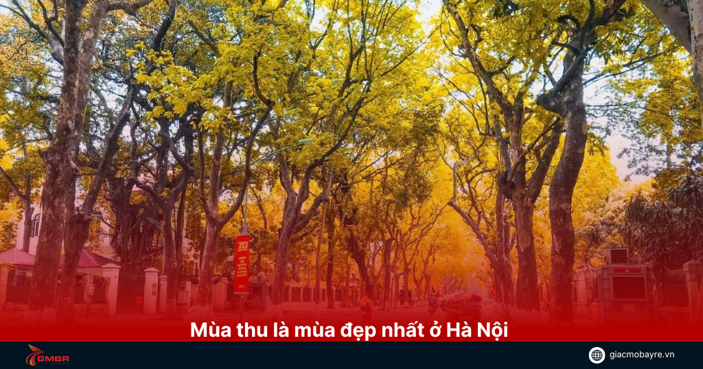 mua thu ha noi