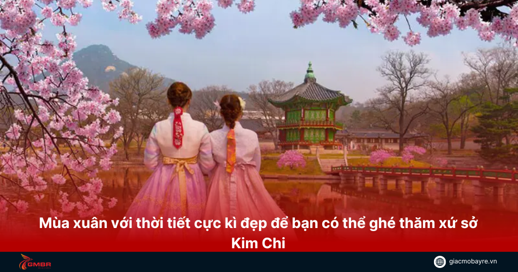 Mùa xuân là mùa đẹp nhất khi đến xứ sở Kim Chi
