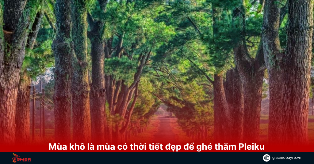 Mùa khô thời tiết đẹp để ghé Pleiku