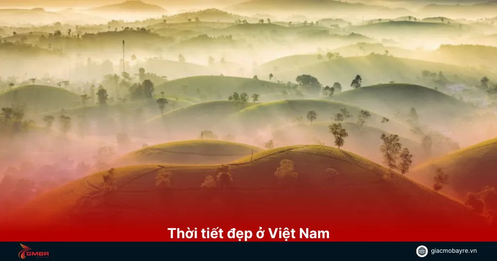Thời tiết đẹp để bạn có thể ghé Việt Nam