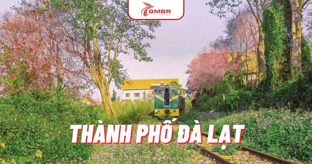 Vé máy bay tháng 10 du lịch thành phố Đà Lạt