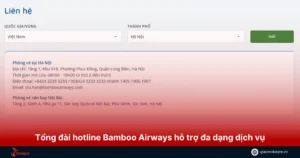 tổng đài bamboo airways