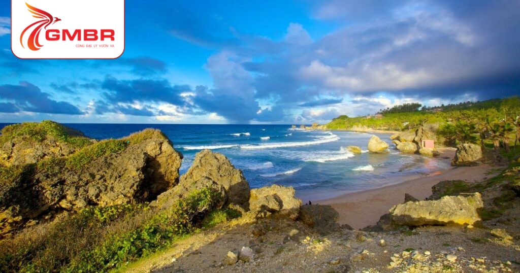 Du lịch Barbados: Thời điểm du lịch, Địa điểm, Lịch trình du lịch & Hãng hàng không khai thác chuyến bay đến Barbados từ Việt Nam 3 Bãi biển Bathsheba
