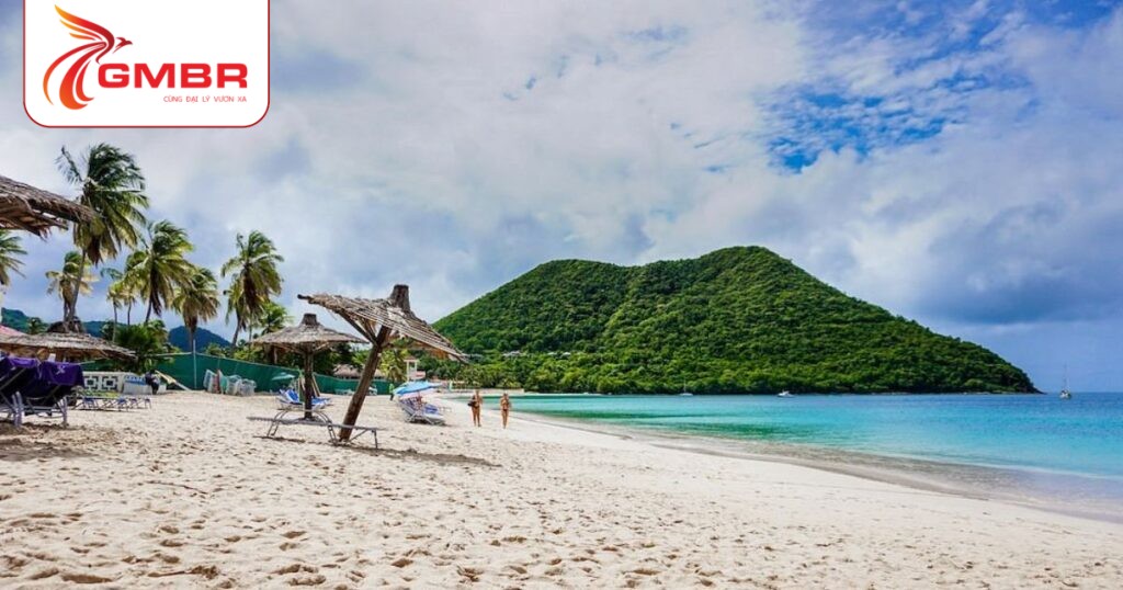 Du lịch Saint Lucia: Địa điểm du lịch, Lịch trình du lịch & Hãng hàng không khai thác chuyến bay đến Saint Lucia 3 Bãi biển Reduit