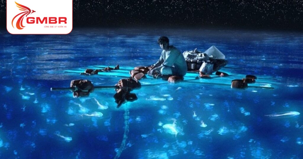 Du lịch Maldives: Địa điểm du lịch, Lịch trình du lịch & Hãng hàng không khai thác chuyến bay đến Maldives 3 Bãi biển Vaadhoo