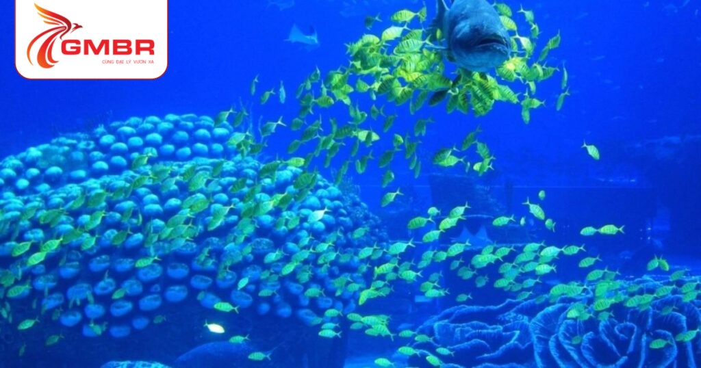 Du lịch Seychelles: Thời điểm du lịch, Địa điểm, Lịch trình du lịch & Hãng hàng không khai thác chuyến bay đến Seychelles 3 Công viên Hải dương Sainte Anne