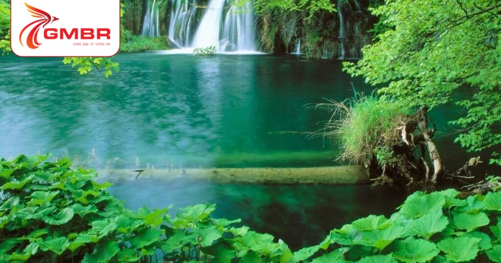 Công viên Quốc gia Fazao Malfakassa