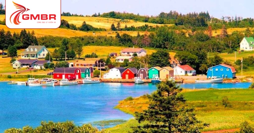 Du lịch São Tomé và Príncipe: Thời điểm du lịch, Địa điểm, Lịch trình du lịch & Hãng hàng không khai thác chuyến bay đến São Tomé và Príncipe 3 Đảo Príncipe