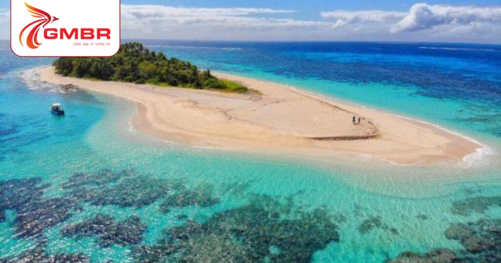 Đảo chính Tongatapu