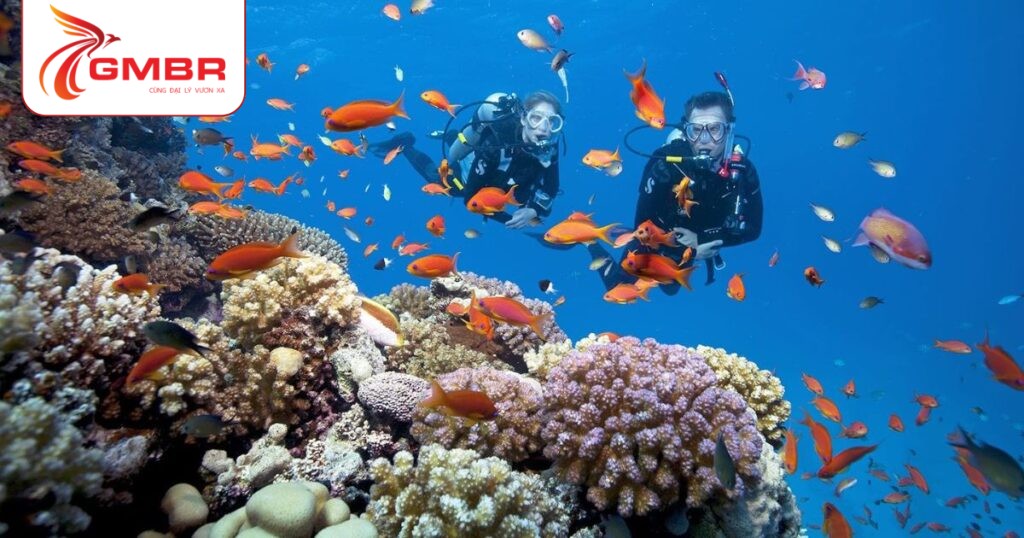 Du lịch Quần đảo Marshall: Thời điểm du lịch, Địa điểm, Lịch trình du lịch & Hãng hàng không khai thác chuyến bay đến Quần đảo Marshall 3 Đảo san hô Likiep