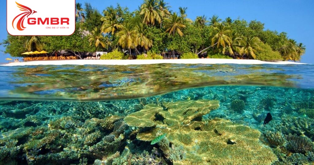 Du lịch Quần đảo Marshall: Thời điểm du lịch, Địa điểm, Lịch trình du lịch & Hãng hàng không khai thác chuyến bay đến Quần đảo Marshall 2 Đảo san hô Majuro