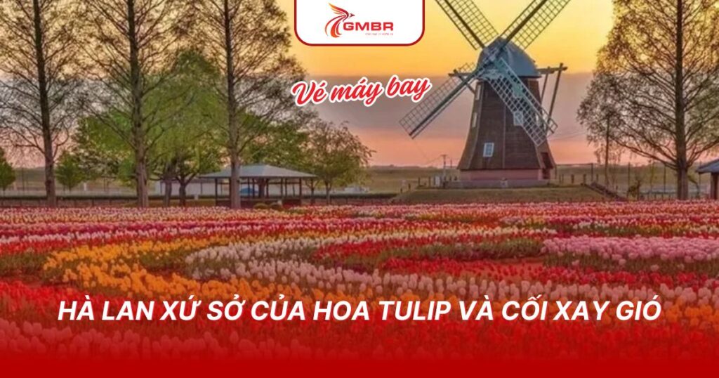 Du lịch Hà Lan: Thời điểm du lịch, Địa điểm, Lịch trình du lịch & Hãng bay khai thác đi Hà Lan 1 Hà lan xứ sở của hoa tulip và cối xay gió