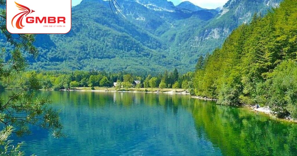 Du lịch Slovenia: Địa điểm du lịch, Lịch trình du lịch & Hãng hàng không khai thác chuyến bay đến Slovenia từ Việt Nam 3 Hồ Bohinj