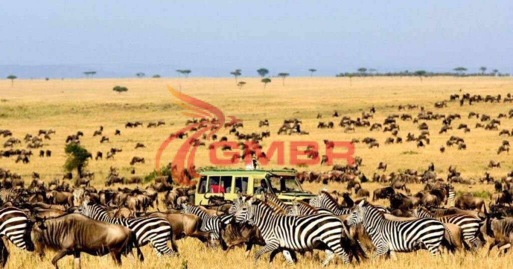 Khu bảo tồn Quốc gia Maasai Mara