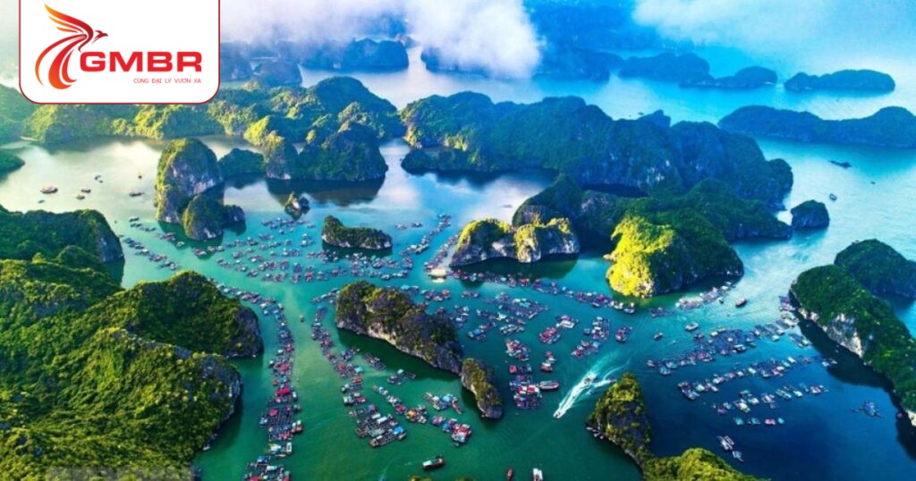 Khu bảo tồn biển Galibi