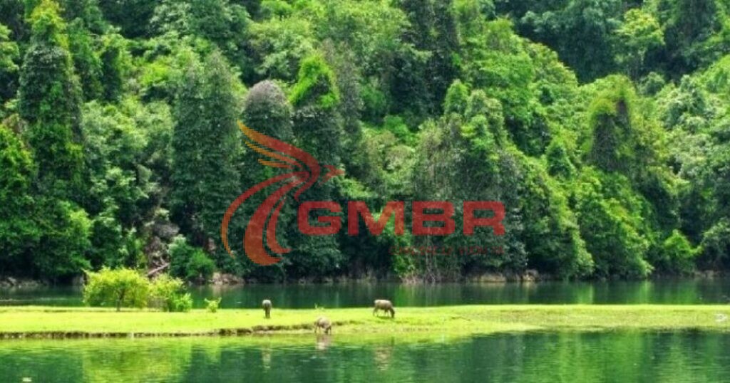 Du lịch Gambia: Thời điểm du lịch, Địa điểm, Lịch trình du lịch & Hãng hàng không khai thác chuyến bay đến Gambia 2 Khu bảo tồn thiên nhiên Abuko