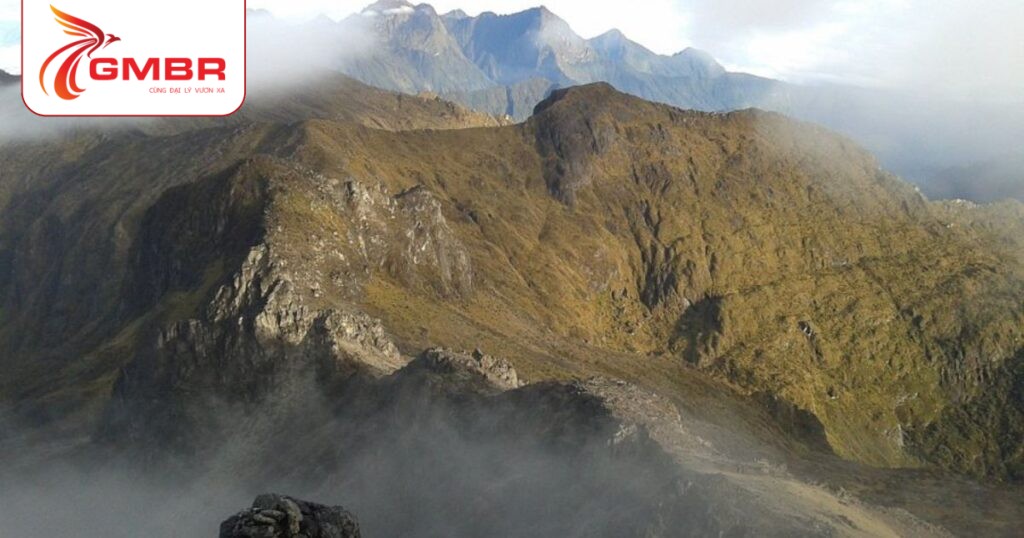 Du lịch Papua New Guinea: Thời điểm du lịch, Địa điểm, Lịch trình du lịch & Hãng hàng không khai thác chuyến bay đến Papua New Guinea 3 Núi Wilhelm