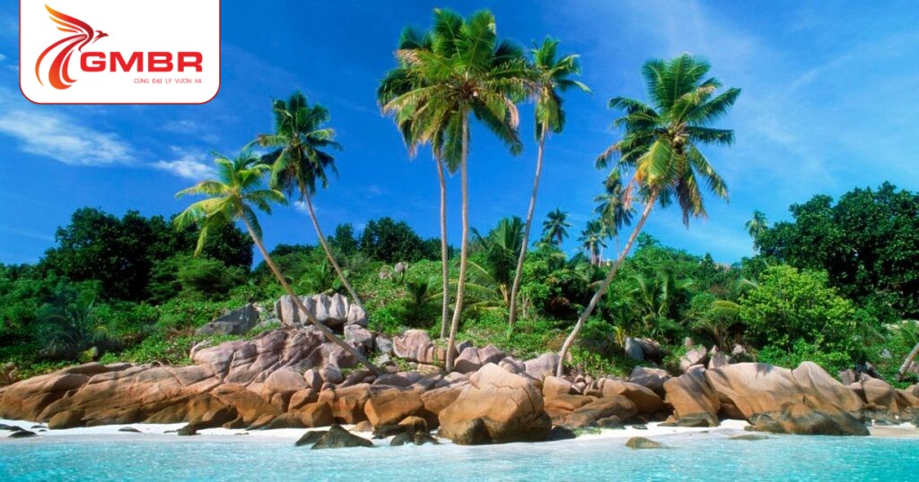 Du lịch Mozambique: Thời điểm du lịch, Địa điểm, Lịch trình du lịch & Hãng hàng không khai thác chuyến bay đến Mozambique từ Việt Nam 3 Quần đảo Bazaruto