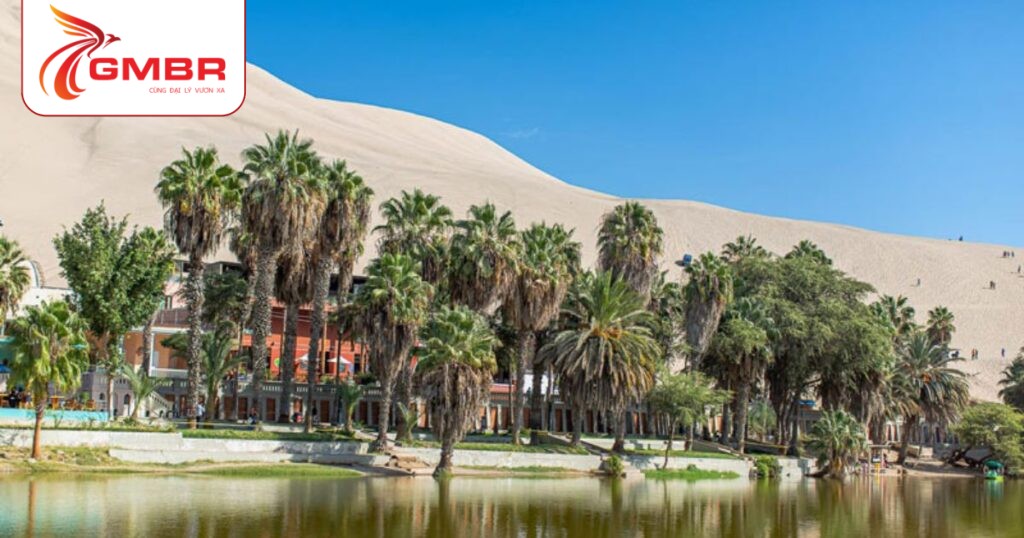 Sa mạc Huacachina
