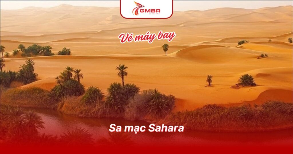 Du lịch Algérie: Thời điểm du lịch, Địa điểm, Lịch trình du lịch & Hãng hàng không khai thác chuyến bay đến Algérie 3 Sa mạc Sahara