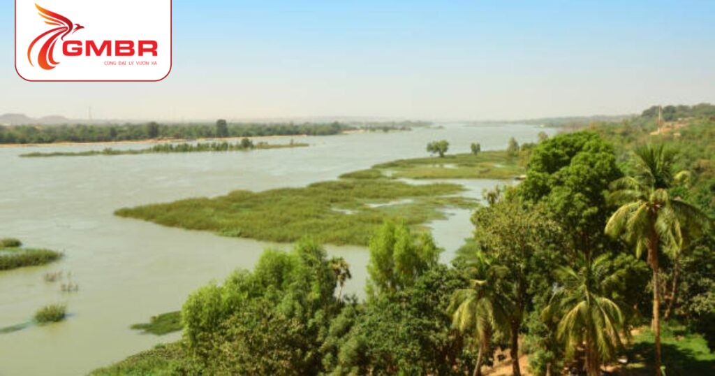 Du lịch Mali: Thời điểm du lịch, Địa điểm, Lịch trình du lịch & Hãng hàng không khai thác chuyến bay đến Mali 3 Sông Niger