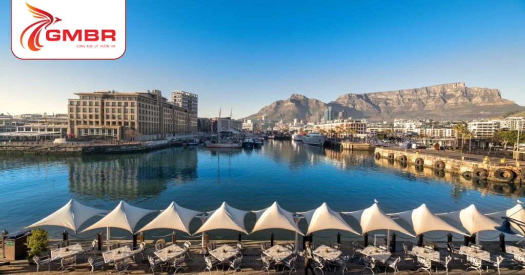 Du lịch Nam Phi: Thời điểm du lịch, Địa điểm, Lịch trình du lịch & Hãng hàng không khai thác chuyến bay đến Nam Phi 2 Thành phố Cape Town