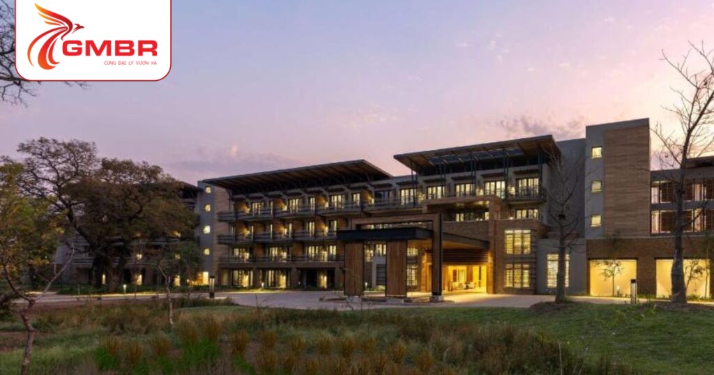 Thành phố Livingstone