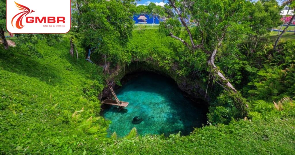 Du lịch Samoa: Thời điểm du lịch, Địa điểm, Lịch trình du lịch & Hãng hàng không khai thác chuyến bay đến Samoa 2 To Sua Ocean Trench