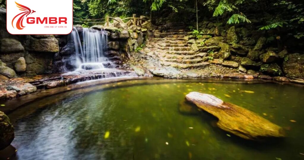 Trung tâm thiên nhiên Asa Wright