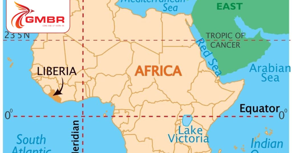 Du lịch Liberia: Địa điểm du lịch, Lịch trình du lịch & Hãng hàng không khai thác chuyến bay đến Liberia 1 Vị trí địa lý Liberia