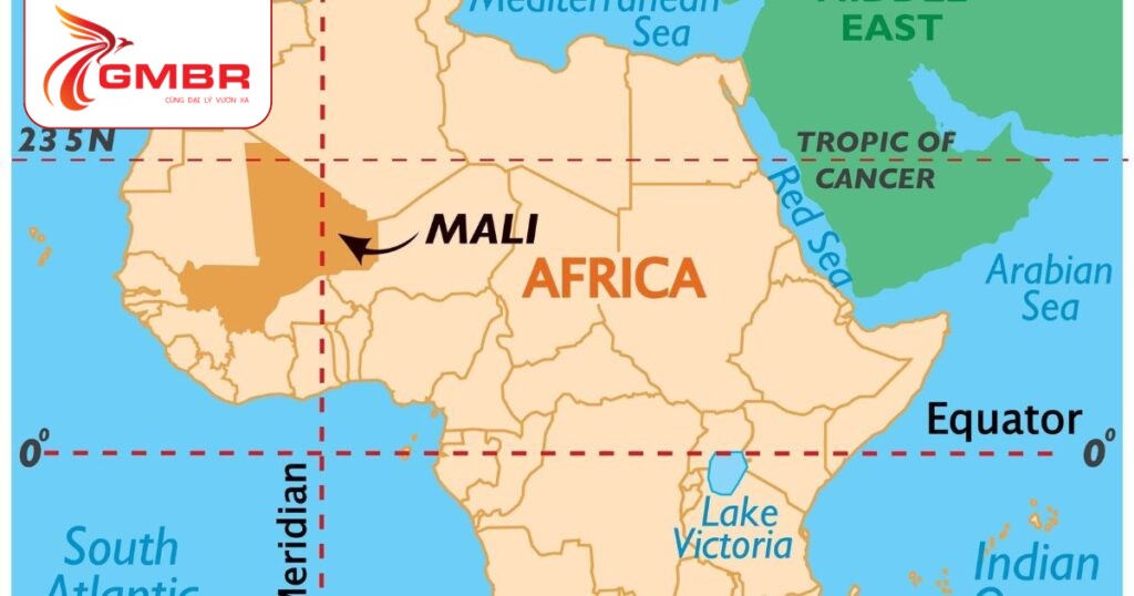 Du lịch Mali: Thời điểm du lịch, Địa điểm, Lịch trình du lịch & Hãng hàng không khai thác chuyến bay đến Mali 1 Vị trí địa lý Mali