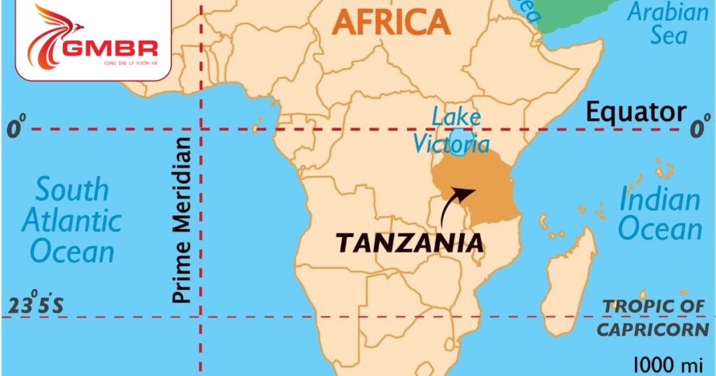 Du lịch Tanzania: Thời điểm du lịch, Địa điểm, Lịch trình du lịch & Hãng hàng không khai thác chuyến bay đến Tanzania 1 Vị trí địa lý Tanzania