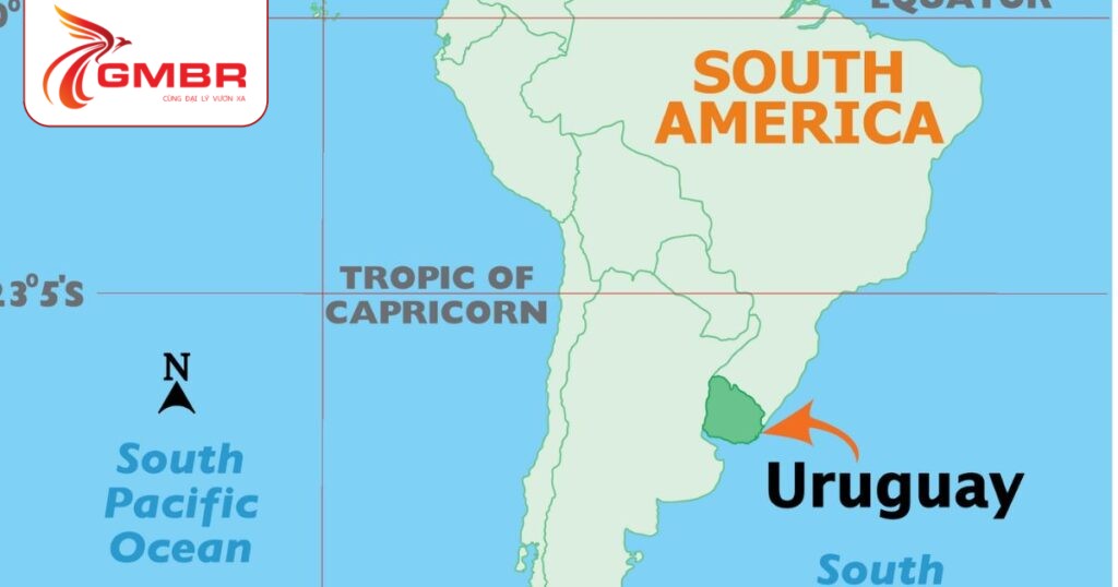Vị trí địa lý Uruguay