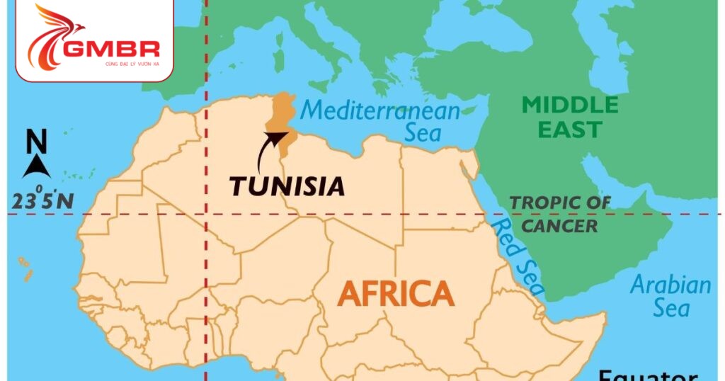 Vị trí tự nhiên Tunisia