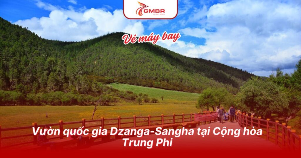 Du lịch Cộng hòa Trung Phi: Địa điểm, Lịch trình du lịch & Hãng hàng không khai thác chuyến bay đến Cộng hòa Trung Phi 2 Vườn quốc gia Dzanga-Sangha tại Cộng hòa Trung Phi