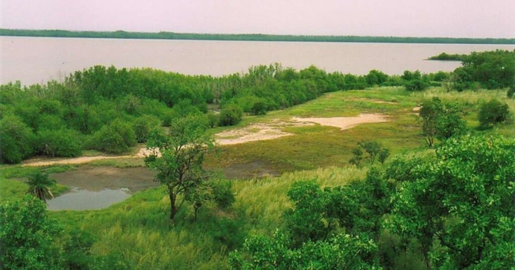 Du lịch Gambia: Thời điểm du lịch, Địa điểm, Lịch trình du lịch & Hãng hàng không khai thác chuyến bay đến Gambia 3 Vườn quốc gia Kiang West