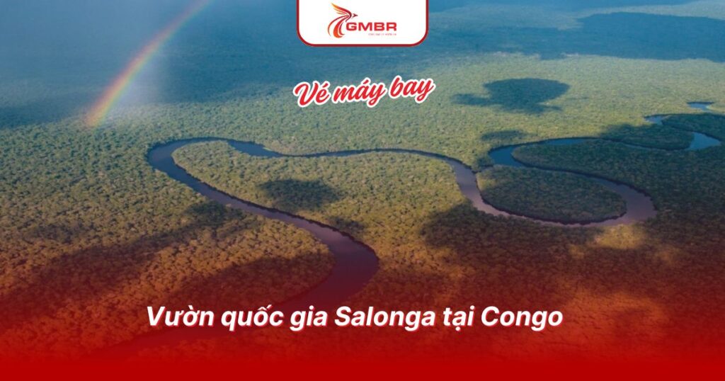 Du lịch Congo: Thời điểm du lịch, Địa điểm, Lịch trình du lịch & Hãng hàng không khai thác chuyến bay đến Congo từ Việt Nam 3 Vườn quốc gia Salonga tại Congo