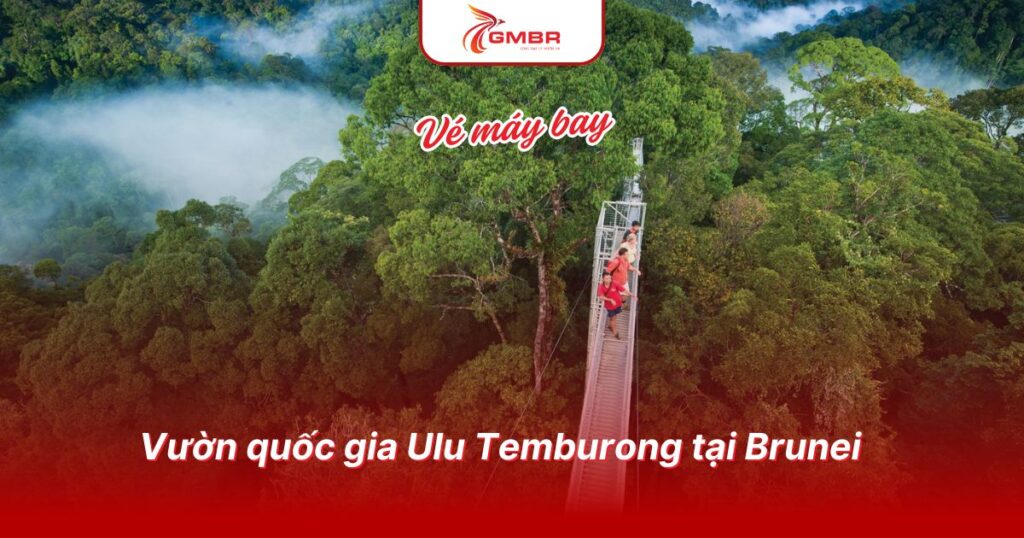 Du lịch Brunei: Thời điểm du lịch, 7 điểm đến đẹp, Lịch trình du lịch & Hãng hàng không khai thác chuyến bay đến Brunei 3 Vườn quốc gia Ulu Temburong tại Brunei