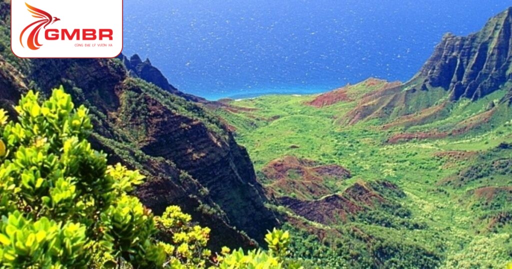 Du lịch Rwanda: Thời điểm du lịch, Địa điểm, Lịch trình du lịch & Hãng hàng không khai thác chuyến bay đến Rwanda 2 Vườn quốc gia Volcanoes